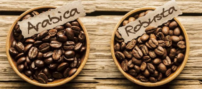 Arabica or Robusta