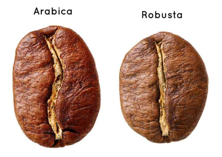 Арабика против Робусты с точки зрения кофеина