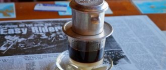 Cамый дорогой кофе в мире из помета: копи лювак