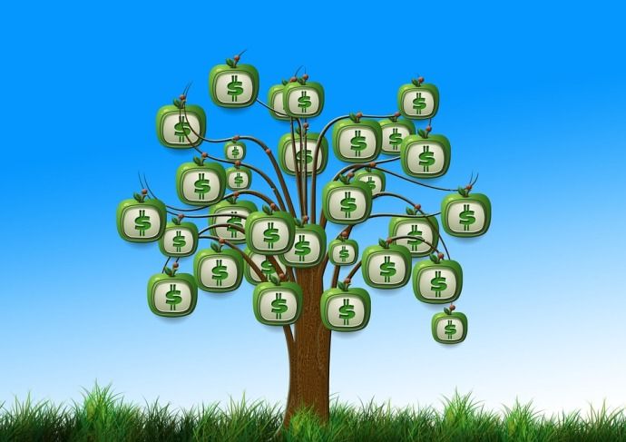 tree with money