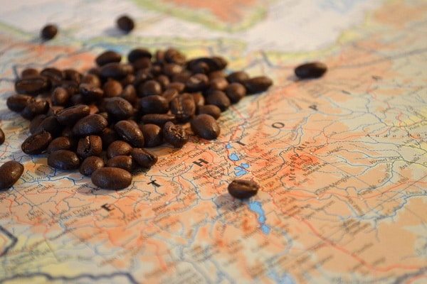 Эфиопия родина кофейных зерен