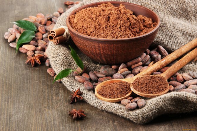 Photo of cocoa powder.