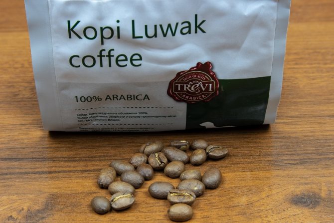 photo of kopi luwak coffee