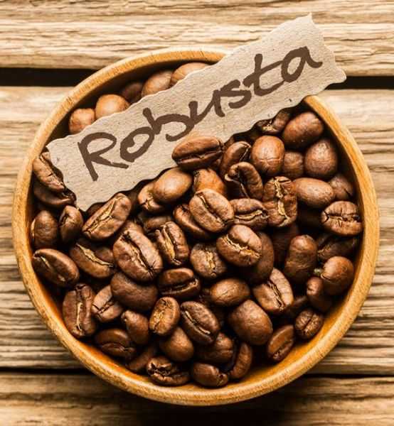 photo of robusta coffee beans grown in Vietnam