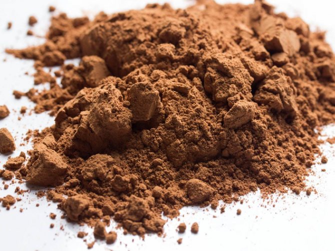 Photo of cocoa grinding.