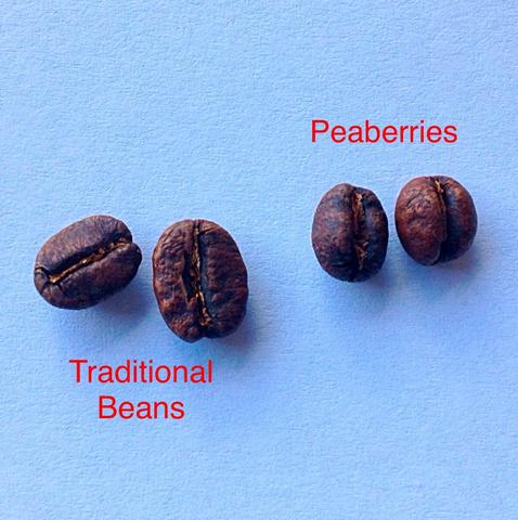 фото сравнения пиберри и обычного кофейного зерна