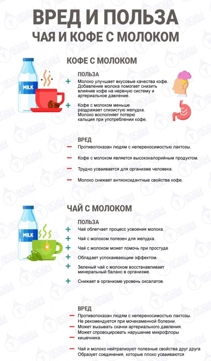 инфографика о вреде и пользе пития чая и кофе с молоком