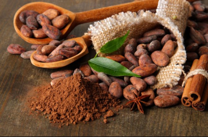 Cocoa beans properties