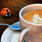 Какой молотый кофе для заваривания в чашке самый лучший?