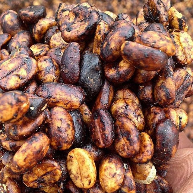 Кофе обработки черный хани имеет богатый вкус, аромат и стоит дороже