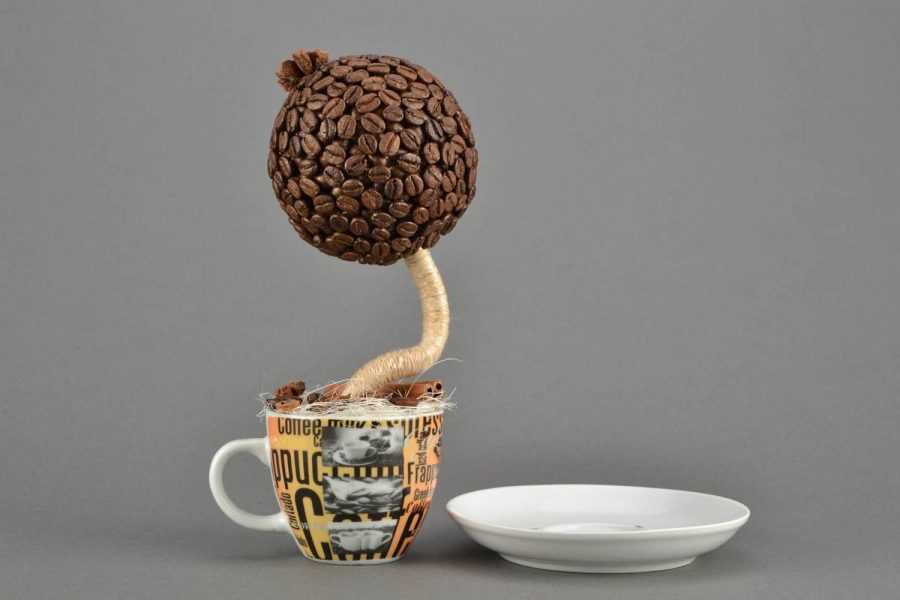 Do-it-yourself coffee tree: TOP-30 best ideas with photos