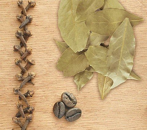 Coffee beans, cloves and bay leaves