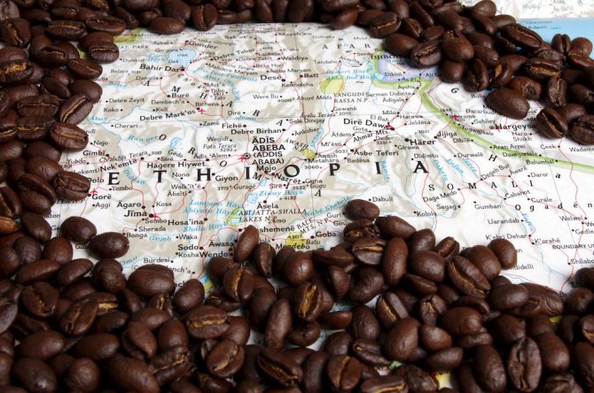 кофейные зерна на карте Эфиопии