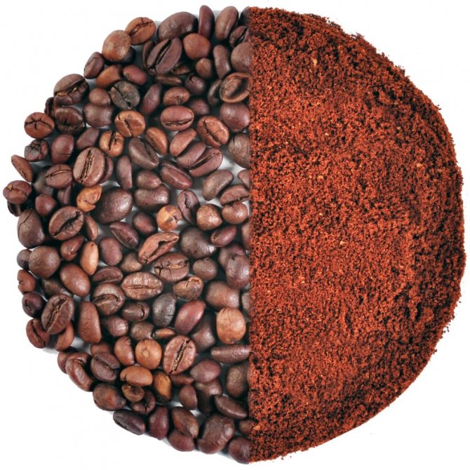 best coffee beans for coffee machine