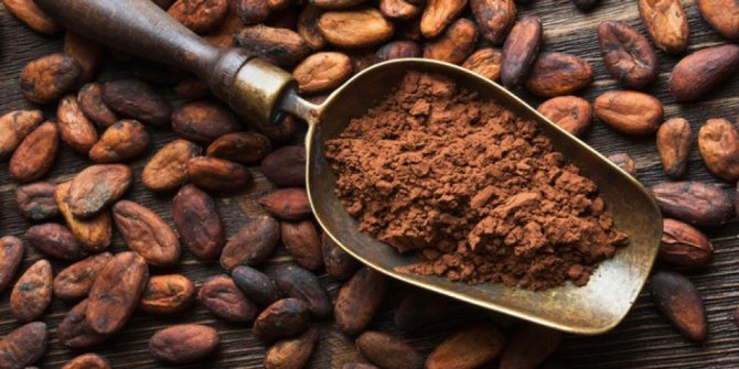 uses of cocoa powder