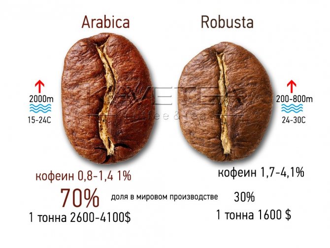 рейтинг зернового кофе для турки