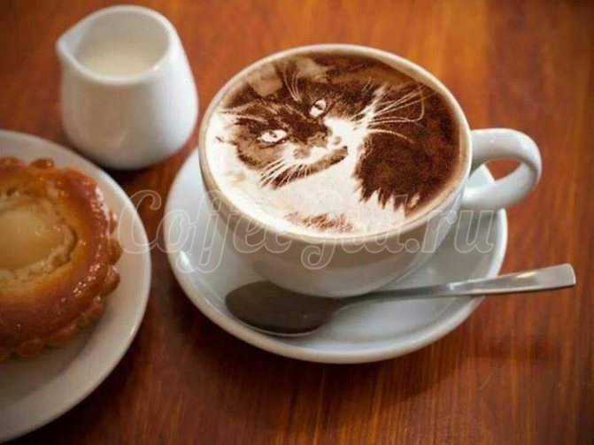 drawing of milk on coffee