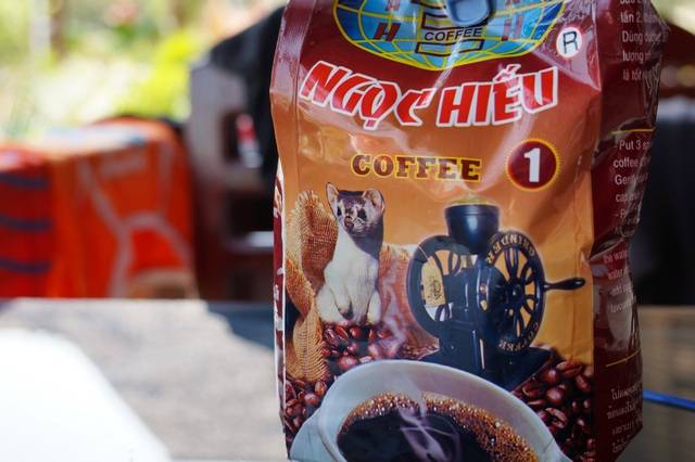 Самый дорогой кофе в мире из помёта слонов