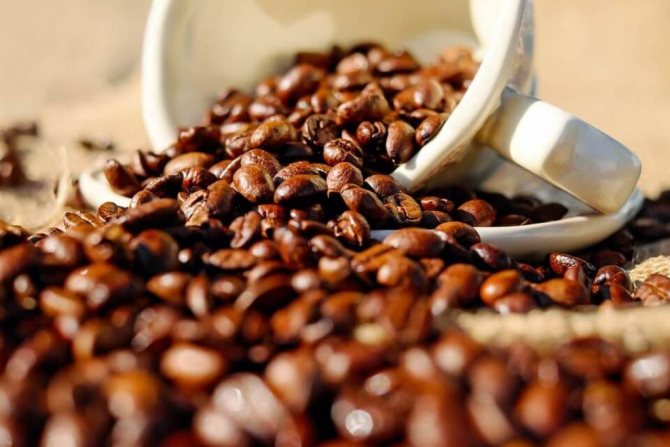 Степень обжарки зерен практически не влияет на калорийность кофе