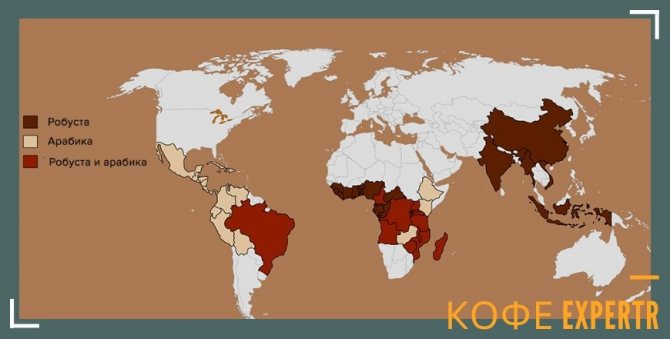 Coffee producing countries