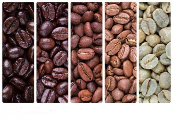 Dark Roast vs Light Roast in terms of Caffeine