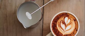Milk frother for cappuccino