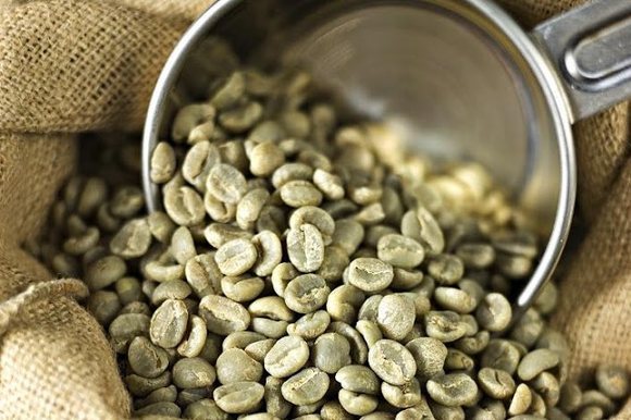 Зелёный кофе содержит в своих зёрнах меньше калорий, чем обычный