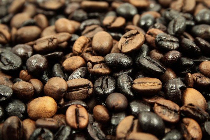 coffee beans of different roasts