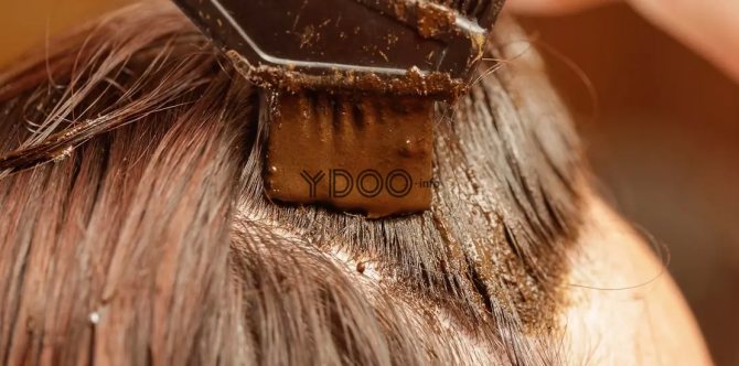 жидкий какао-порошок наноносят на волосы